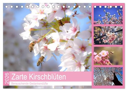 Zarte Kirschblüten - Berauschende Gedankendüfte (Tischkalender 2026 DIN A5 quer), CALVENDO Monatskalender: Lichtvolle Momente zur Kirschblütenzeit (CALVENDO Natur)