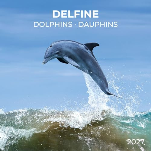 Delfine / Dolphins 2027: Kalender 2027 (Artwork Edition)
