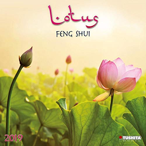 Lotus Feng Shui 2019: Kalender 2019 (Mindful Edition)