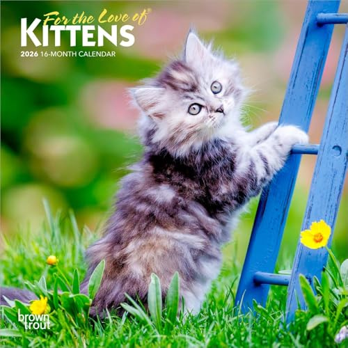 For the Love of Kittens | 2026 7 x 14 Inch (Hanging) Monthly Mini Wall Calendar | BrownTrout | Animals Cats Feline