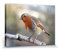1art1 Vögel Poster Rotkehlchen Auf Einem AST Bilder Leinwand-Bild Auf Keilrahmen | XXL-Wandbild Poster Kunstdruck Als Leinwandbild 40x30 cm