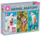 Animal Anatomy Science Puzzle Set