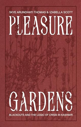 Pleasure Gardens: Blackouts and the Logic of Crisis: 12 (DISCOURSE)