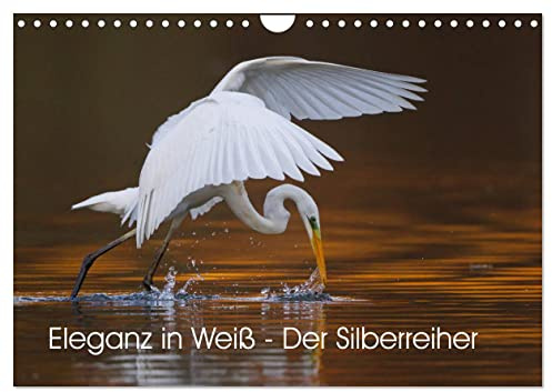 Eleganz in Weiß - Der Silberreiher (Wandkalender 2026 DIN A4 quer), CALVENDO Monatskalender: Faszinierende Momentaufnahmen eines eleganten Fischjägers (CALVENDO Tiere)