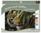Mammut Spiel & Geschenk 108007 - Malen nach Zahlen Artists, Tiermotiv Tiger, Komplettset mit bedruckter Malvorlage im A3 Format, 20 Acrylfarben und Pinsel, großes Malset für Kinder ab 10 Jahre