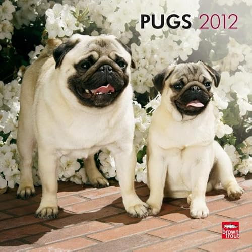 Pugs 2012 (Wall-Kalender)