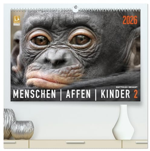 MENSCHENAFFENKINDER 2 (hochwertiger Premium Wandkalender 2026 DIN A2 quer), Kunstdruck in Hochglanz: Neue Porträts von Primatenkindern (CALVENDO Tiere)