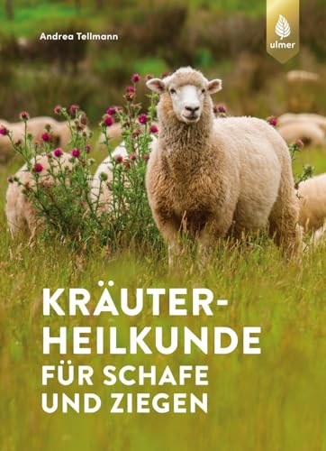 Kräuterheilkunde für Schafe und Ziegen: Gesunde Tiere durch Selbsthilfe mit natürlicher Medizin. 150 Rezepte und Tipps für die Stallapotheke