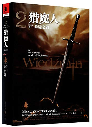 The Witcher 2 (Chinese Edition)