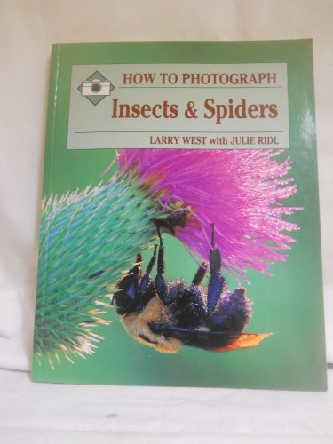 How to Photograph Insects and Spiders