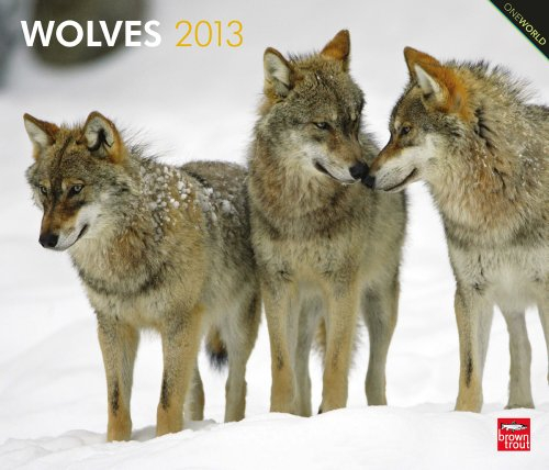 Wolves 2013 - Wölfe - Original BrownTrout-Kalender - Deluxe (Deluxe-Kalender)