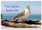 Faszination Bodensee (Tischkalender 2025 DIN A5 quer), CALVENDO Monatskalender