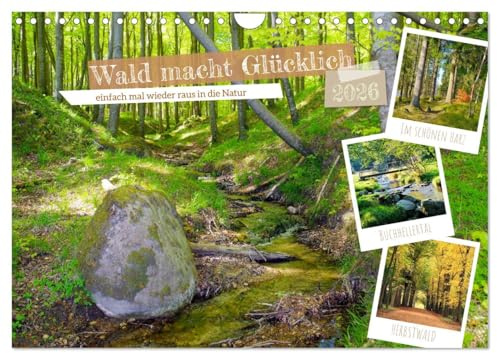 Wald macht glücklich (Wandkalender 2026 DIN A4 quer), CALVENDO Monatskalender: Der Wald hat viele Gesichter (CALVENDO Natur)