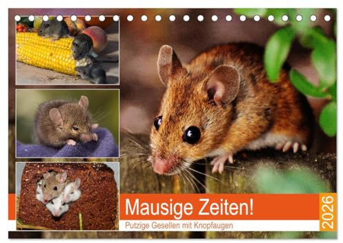 Mausige Zeiten! Putzige Gesellen mit Knopfaugen (Tischkalender 2026 DIN A5 quer), CALVENDO Monatskalender: Niedliche Farbmäuse und wilde Artgenossen (CALVENDO Tiere)