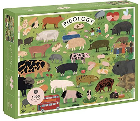 Princeton Architectural Press 9781648961632 Puzzle