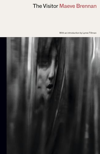 VISITOR, THE
