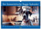 Der humoristische Dogge Kalender (Wandkalender 2025 DIN A3 quer), CALVENDO Monatskalender: Mit mir wird der Dogge Besitzer jeden Tag lachen und ein ganzes Jahr lang viel Spaß haben (CALVENDO Tiere)
