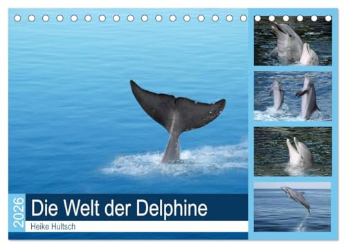 Die Welt der Delphine (Tischkalender 2026 DIN A5 quer), CALVENDO Monatskalender: Intelligente, freundliche Delphine beim Spiel (CALVENDO Tiere)