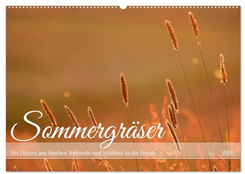 Sommergräser (Wandkalender 2026 DIN A2 quer), CALVENDO Monatskalender: Natur und Poesie im Einklang (CALVENDO Natur)