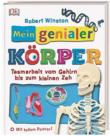 Mein genialer Körper: Teamarbeit vom Gehirn bis zum kleinen Zeh. Mit tollem Poster!