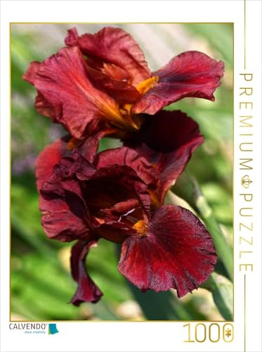CALVENDO Puzzle Traumhafte Iris Blüten | 1000 Teile Lege-Größe 48 x 64 cm Foto-Puzzle für glückliche Stunden