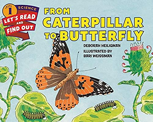 From Caterpillar to Butterfly: A classroom caterpillar's amazing transformation into a Painted Lady butterfly―science fun for kids ages 4-8 (Let's-Read-and-Find-Out Science 1)