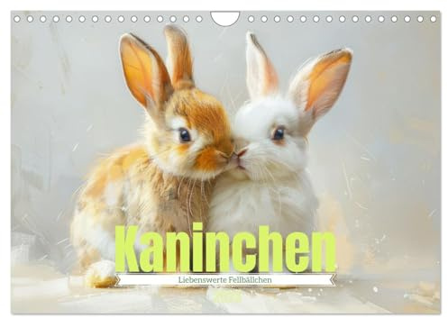Kaninchen - Liebenswerte Fellbällchen (Wandkalender 2025 DIN A4 quer), CALVENDO Monatskalender: Kleintiere wie Kaninchen (CALVENDO Tiere)