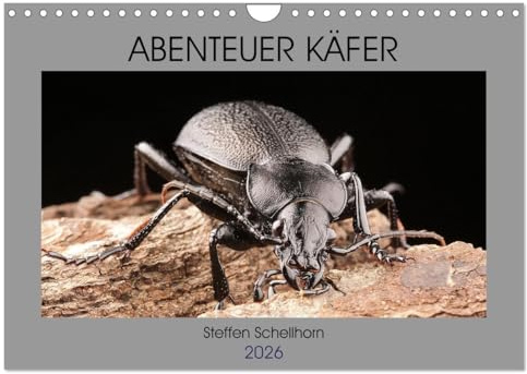 ABENTEUER KÄFER (Wandkalender 2026 DIN A4 quer), CALVENDO Monatskalender: Ein phantastischer Einblick in die Vielgestalt der Käfer (CALVENDO Tiere)