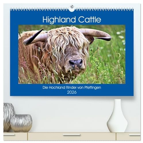 Highland Cattle, die Hochlandrinder aus Pfeffingen (hochwertiger Premium Wandkalender 2026 DIN A2 quer), Kunstdruck in Hochglanz: Urige Rinder auf der Weide (CALVENDO Tiere)