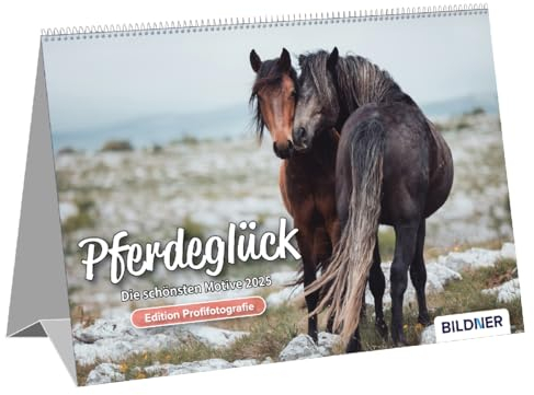 Pferde Kalender 2025 Pferdeglück! Die schönsten Pferdemotive und Aufnahmen 2025: Tischkalender mit Wire-O-Bindung und auffaltbarer Stütze ... / Pferdekalender – Edition Profifotografie