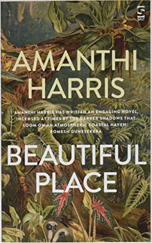 Beautiful Place (Salt Modern Fiction)