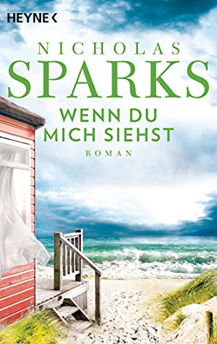 Wenn du mich siehst: Roman