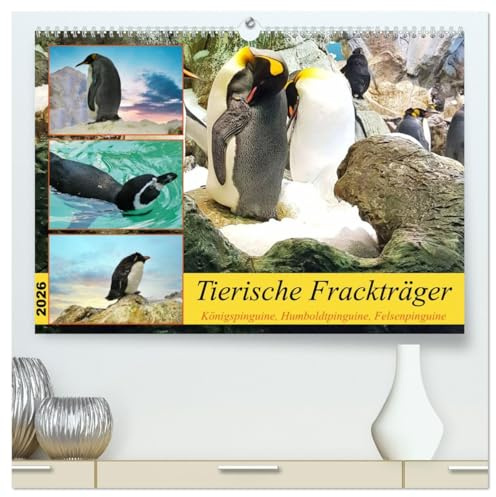 Tierische Frackträger (hochwertiger Premium Wandkalender 2026 DIN A2 quer), Kunstdruck in Hochglanz: Pinguine in ihren Kolonien und im Einzelportrait (CALVENDO Tiere)