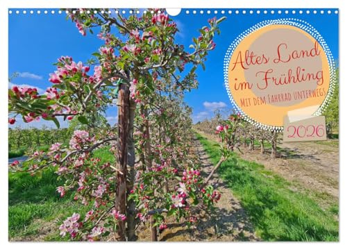 Altes Land im Frühling - Mit dem Fahrrad unterwegs (Wandkalender 2026 DIN A3 quer), CALVENDO Monatskalender: Baumblüte im alten Land (CALVENDO Orte)