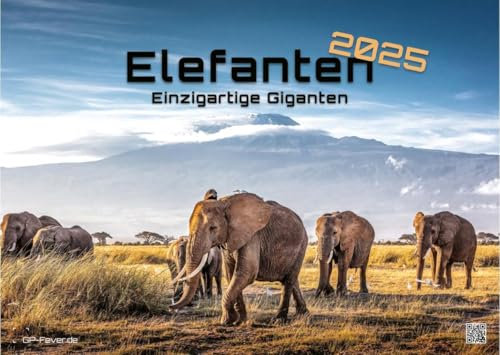 Elefanten - einzigartige Giganten - 2025 - Kalender DIN A3: Der Wandkalender mit den schönsten Elefant-Motiven für das Jahr 2025 im Format DIN A3 (ca. 42 x 30 cm)!