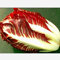 200 semi / pacchetto radicchio, cavolo radicchio rosso, semi di verdure nutrienti