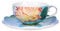 Cup and Saucer Royal Flowers 225ml