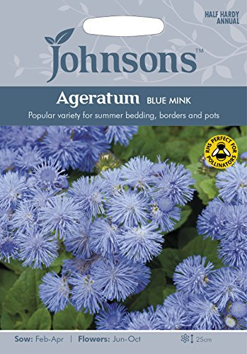 Johnsons Ageratum Blue Mink