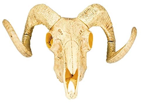 Boland 54319 - Dekoration Tierschädel mit zwei Hörnern, 28x36 cm, Stier, Wilder Westen, Partydeko für Mottoparty und Karneval
