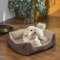 bontoy Kuschelsofa für Hunde I Größe L I Hundebett zum Kuscheln I für mittelgroße Hunde I Waschbares Körbchen I 70x65x20 cm