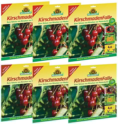 6 x 7 (42 Stk) Neudorff KirschmadenFalle Insektizidfrei