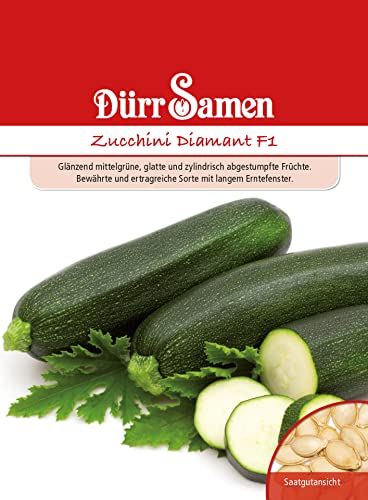Zucchini Samen Diamant F1 Zucchinisamen Gemüsesamen ca 10 Korn Garten Hochbeet Saatgut Dürr Samen
