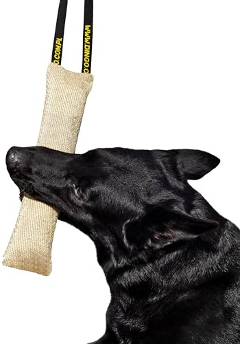 DINGO Jute Tug Toy Strong 1 Handle Pull Rope for Dog Training, Retrieve, Bite Work, Prey Drive, Tug of War, Fun, Handmade Dummy 60 cm Natural Colour 10538