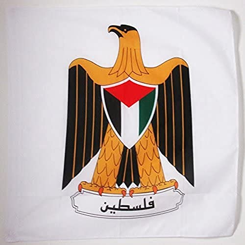 AZ FLAG - Drapeau Armoiries de la Palestine - 90x90 cm - Drapeau Palestinien Avec Armes 100% Polyester Avec Fourreau et Cordelette - Pavillon 80 g