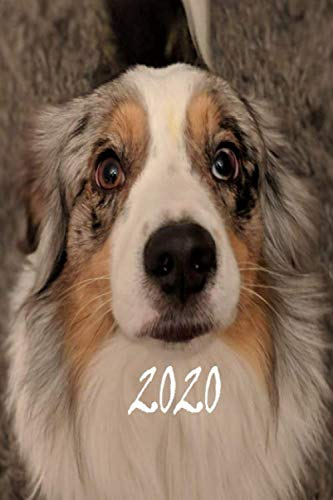 2020: Taschenkalender und Wochenplaner A5, 365 Tage, Design Hund