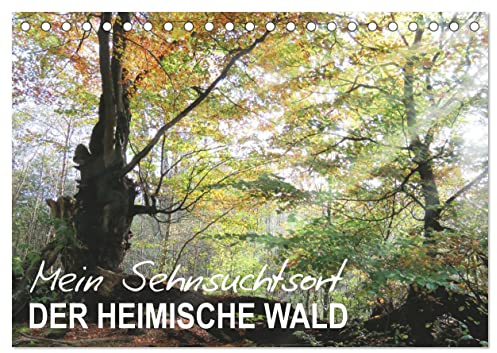 Mein Sehnsuchtsort, der heimische Wald (Tischkalender 2026 DIN A5 quer), CALVENDO Monatskalender: Zauberhafte Naturfotografie im Wald (CALVENDO Natur)