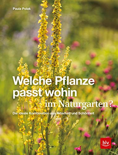 Welche Pflanze passt wohin im Naturgarten?: Die ideale Kombination aus Arterhalt und Schönheit (BLV Pflanzenpraxis)