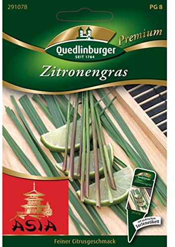 Quedlinburger Saatgut Zitronengras Samen