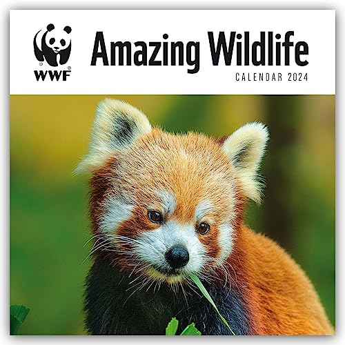 WWF Amazing Wildlife – Faszinierende Tierwelt 2024: Original Carousel-Kalender [Mehrsprachig] [Kalender] (Wall-Kalender)