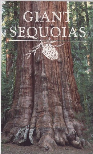 Giant Sequoias